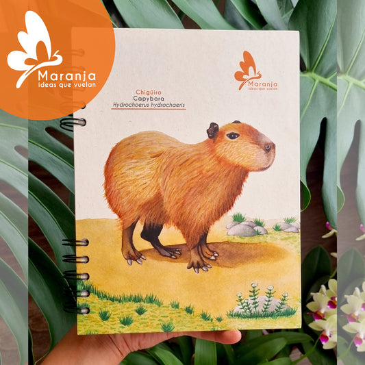 Agenda grande Chigüiro / Capybara + Papel plantable