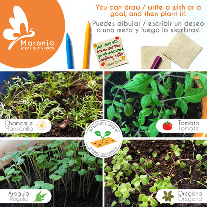 Cuaderno grande de Mapache + Papel plantable