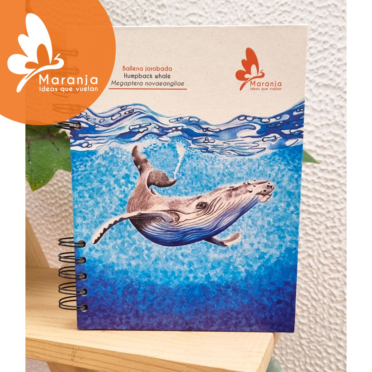 Agenda grande Ballena jorabada + Papel plantable