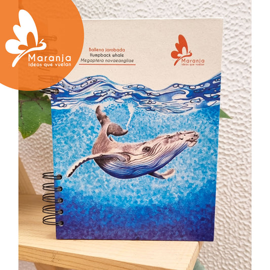 Agenda grande Ballena jorabada + Papel plantable