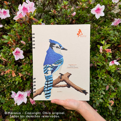 Cuaderno grande de Arrendajo azul + Papel plantable