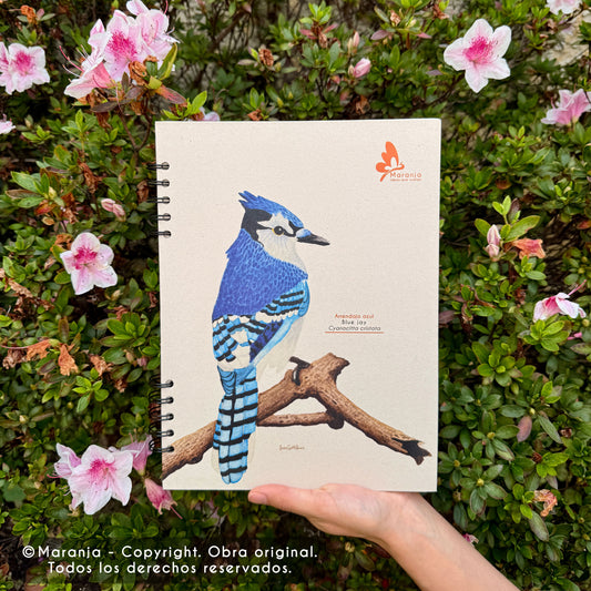 Cuaderno grande de Arrendajo azul + Papel plantable