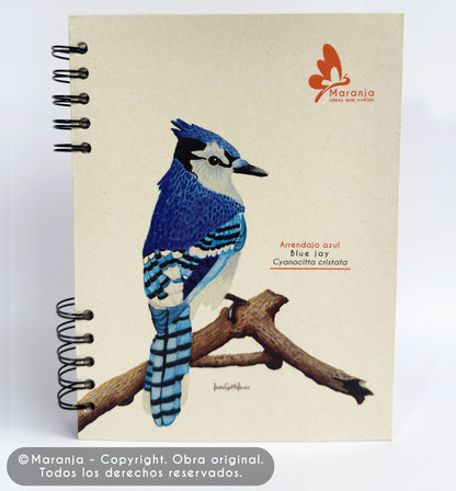 Agenda grande Arrendajo azul + Papel plantable