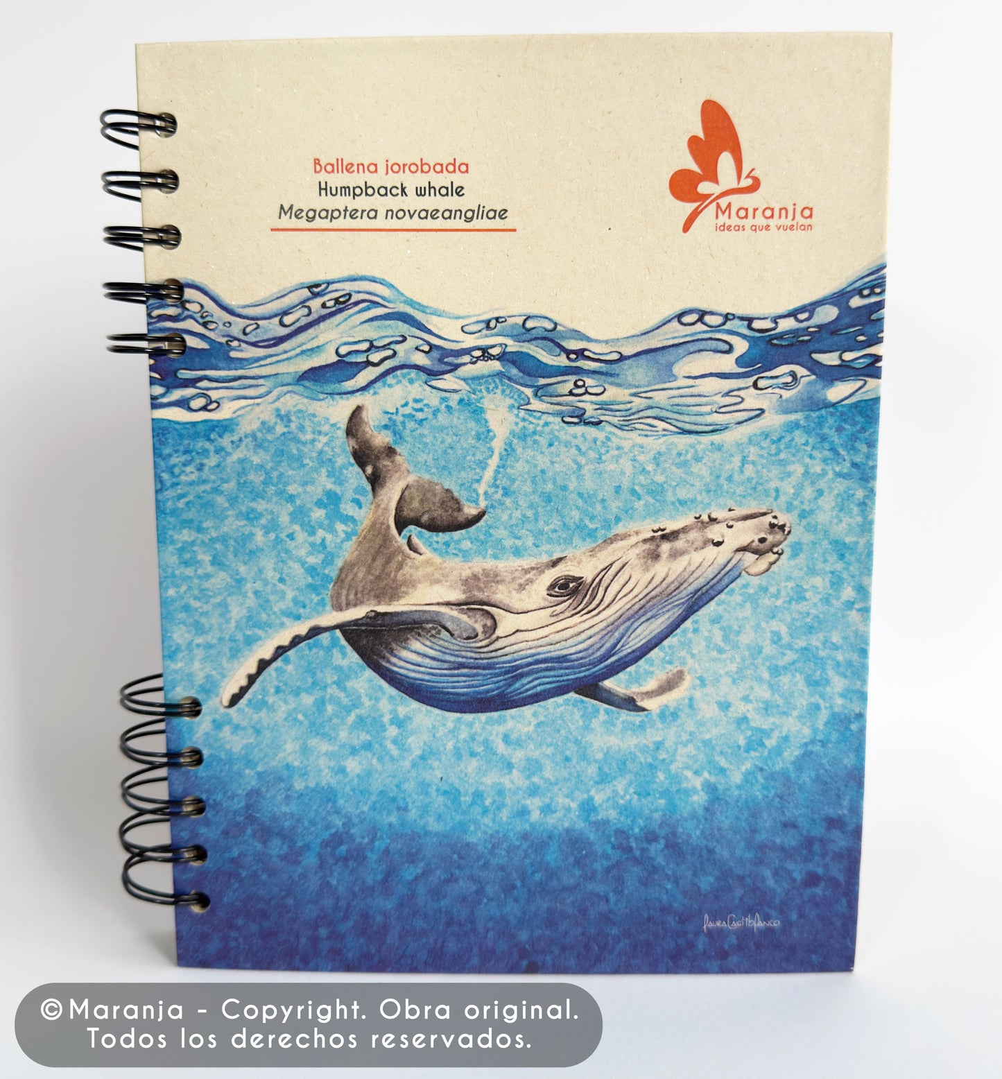 Agenda grande Ballena jorabada + Papel plantable
