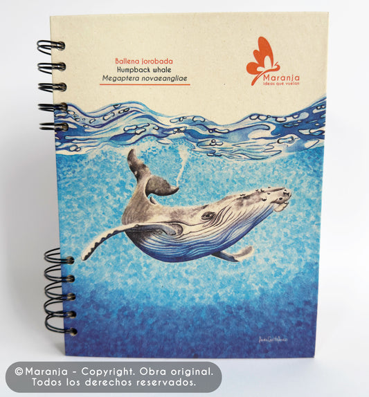 Agenda grande Ballena jorabada + Papel plantable