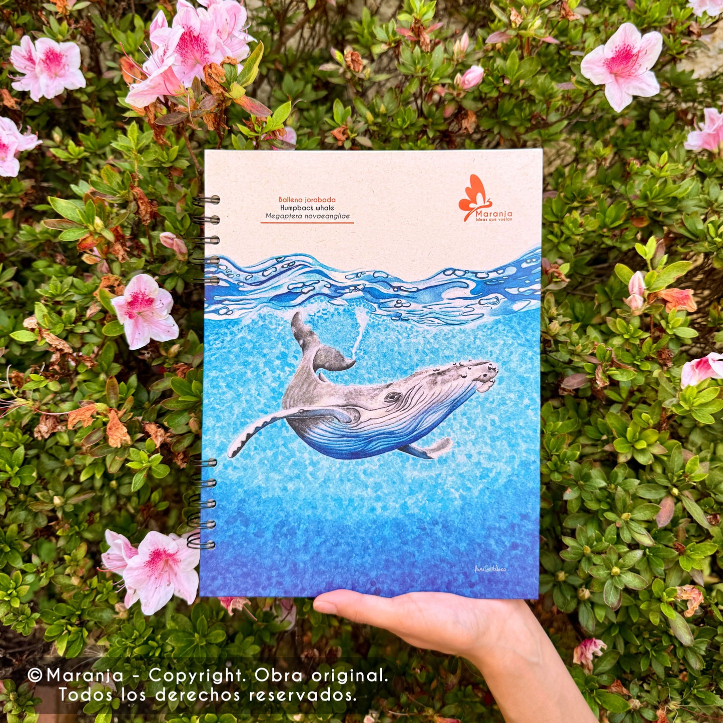 Cuaderno grande de Ballena + Papel plantable