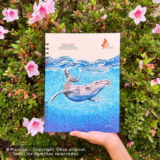 Cuaderno grande de Ballena + Papel plantable
