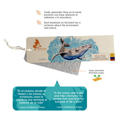 Separador de libros / Marcapáginas de Ballena jorobada