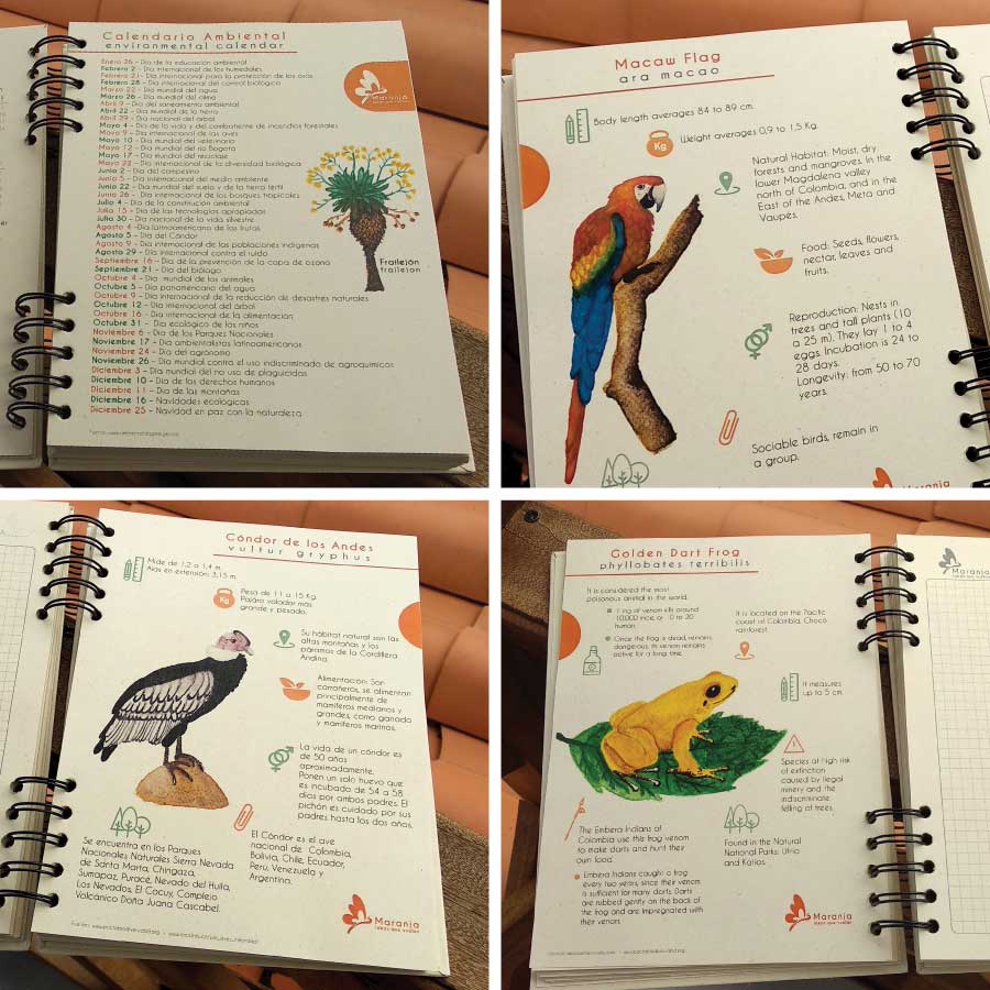 Agenda grande Mapache + Papel plantable