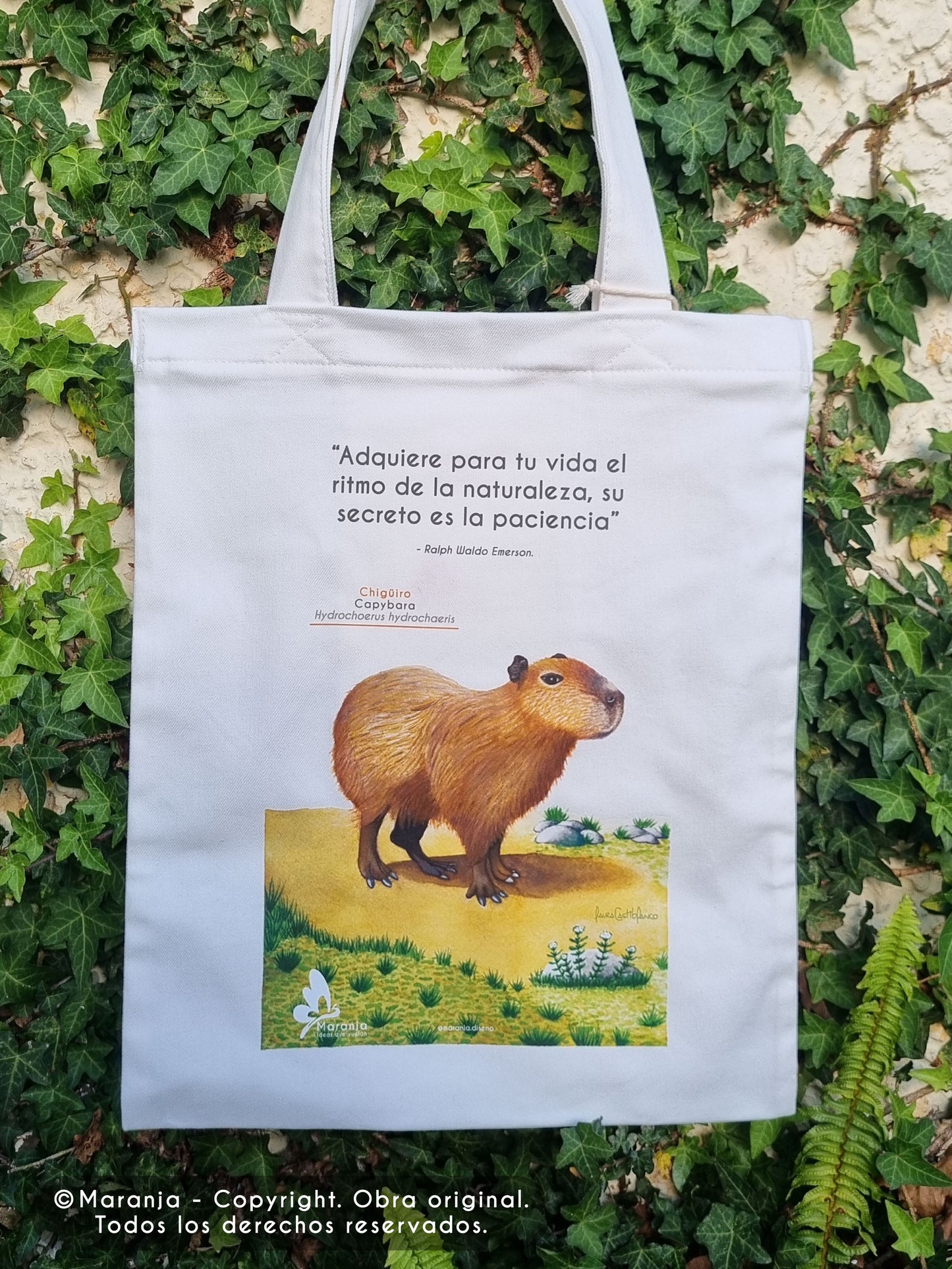 Bolsa / Totebag Chigüiro o Capybara + Papel plantable