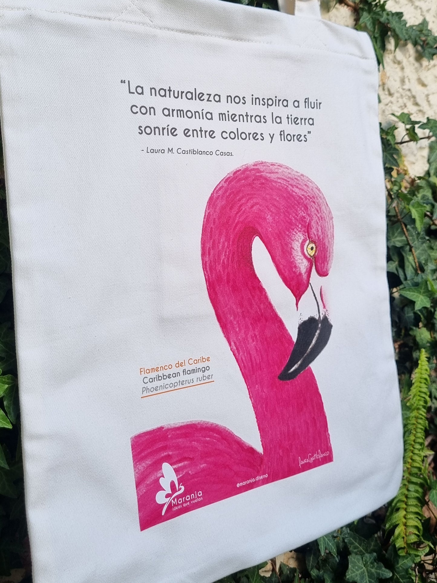 Bolsa / Totebag Flamingo del Caribe + Papel plantable