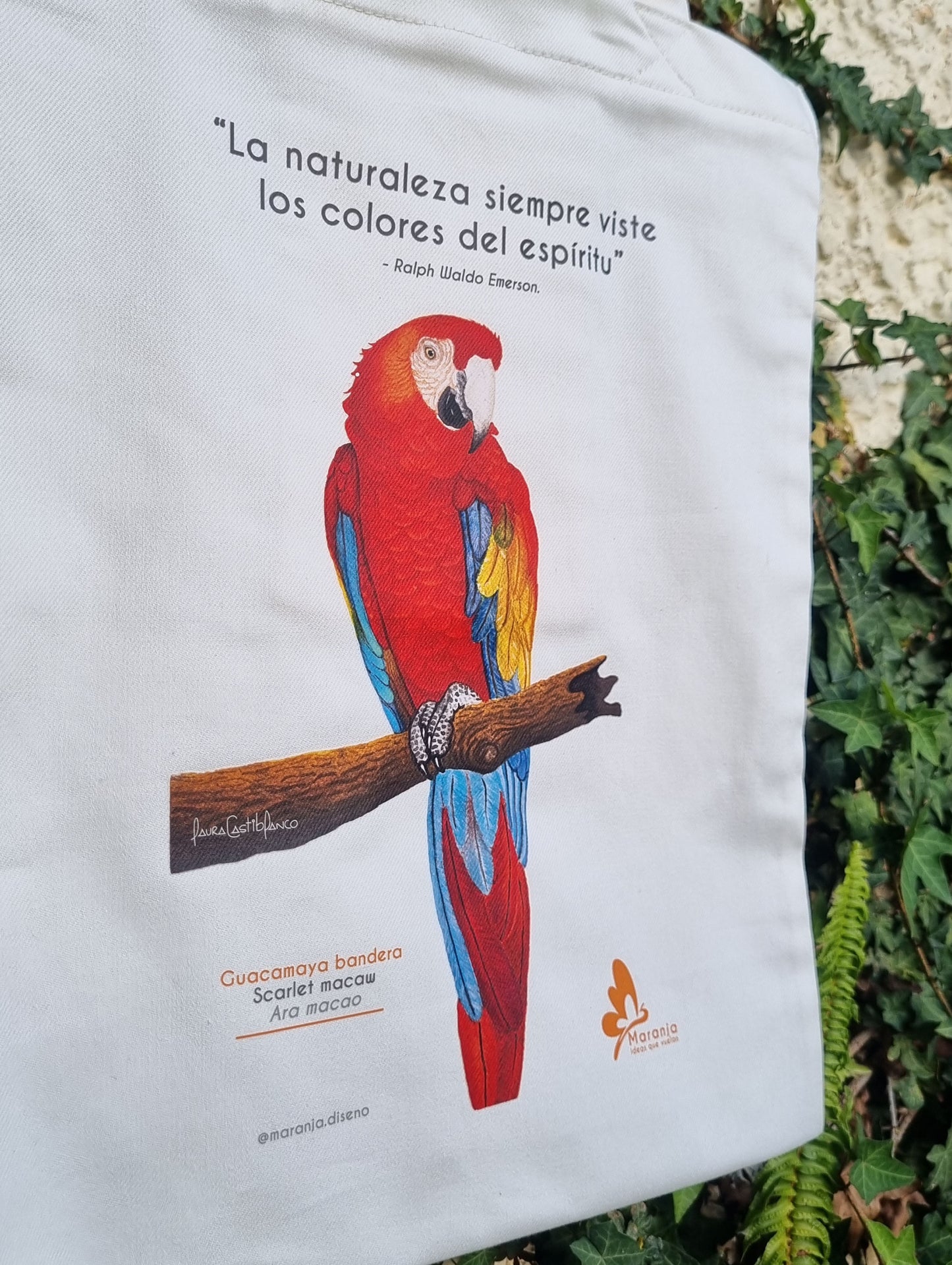 Bolsa / Totebag Guacamaya + Papel plantable
