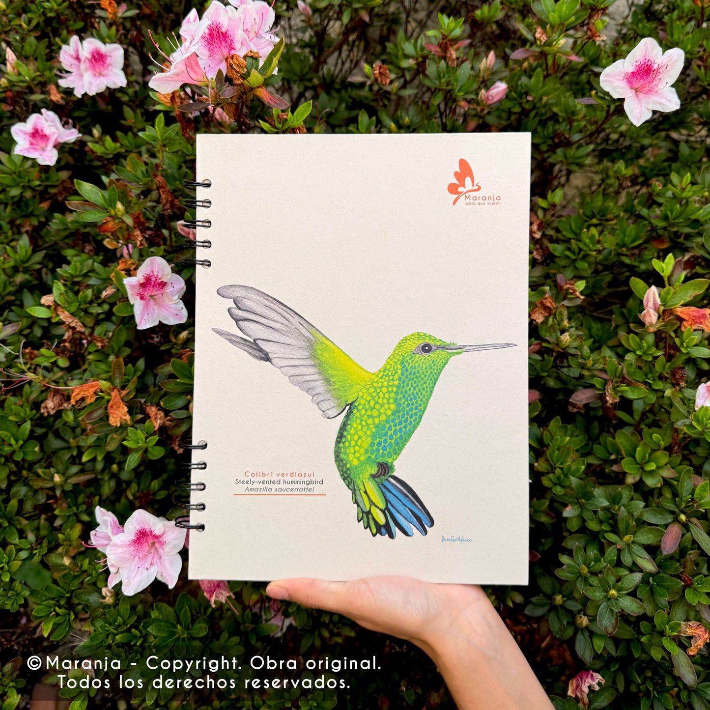 Cuaderno grande de Colibrí + Papel plantable