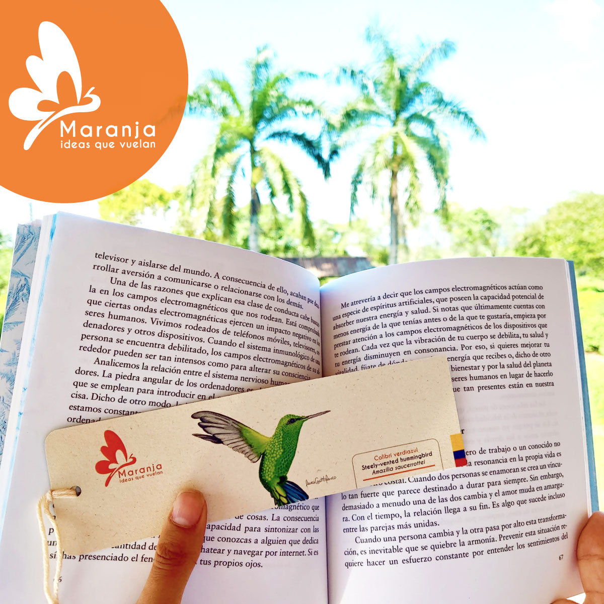 Separador de libros / Marcapáginas de Colibrí verdiazul
