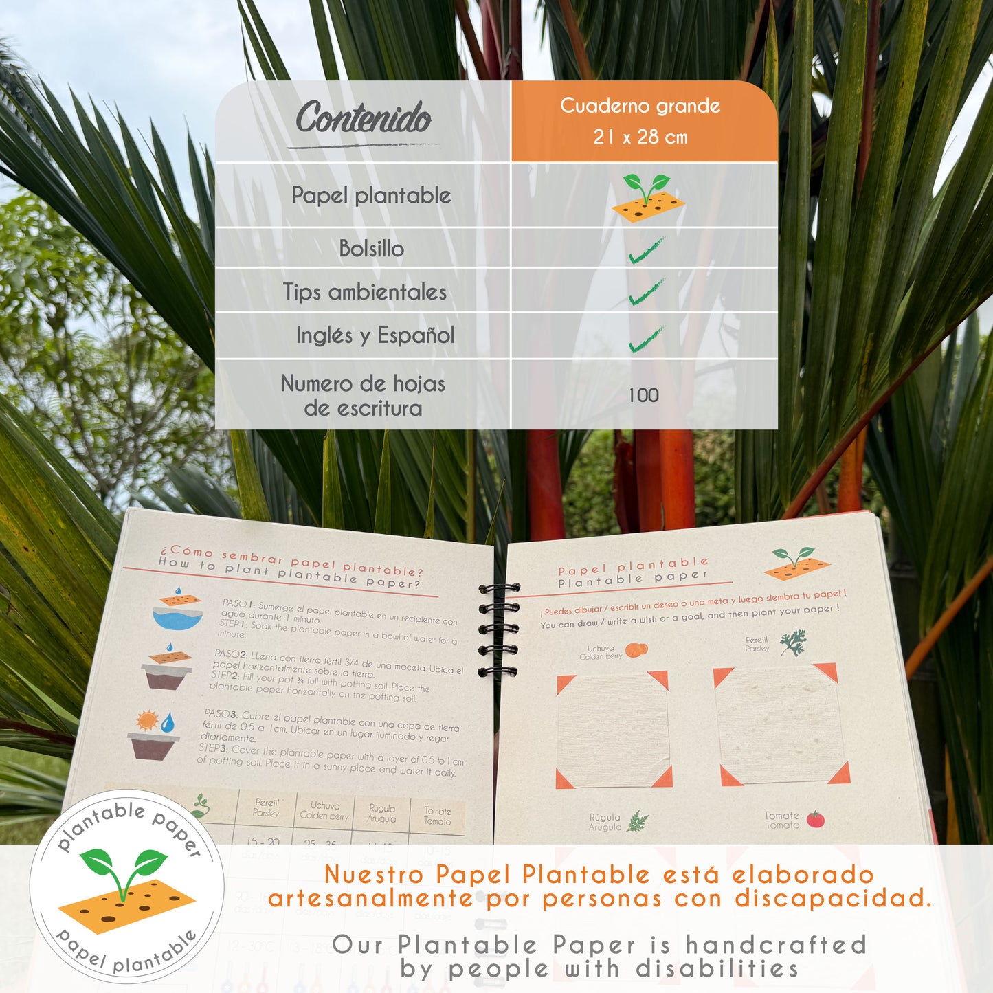 Cuaderno grande de Mapache + Papel plantable