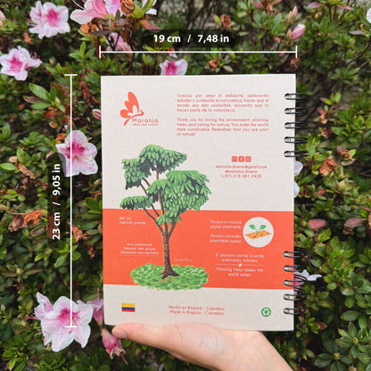 Agenda grande Mapache + Papel plantable