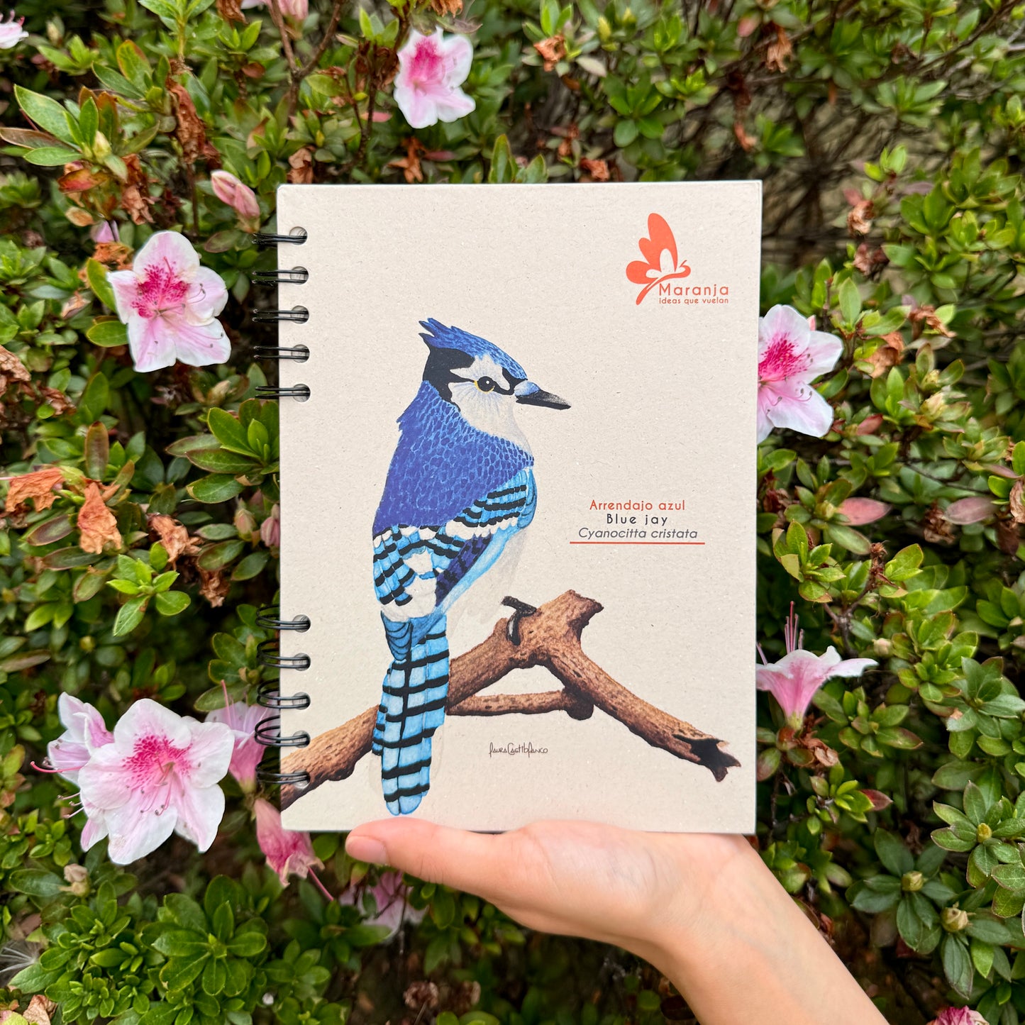 Cuaderno pequeño de Arrendajo azul + Papel plantable
