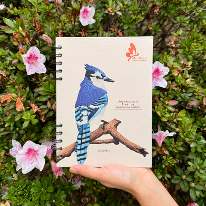 Cuaderno pequeño de Arrendajo azul + Papel plantable