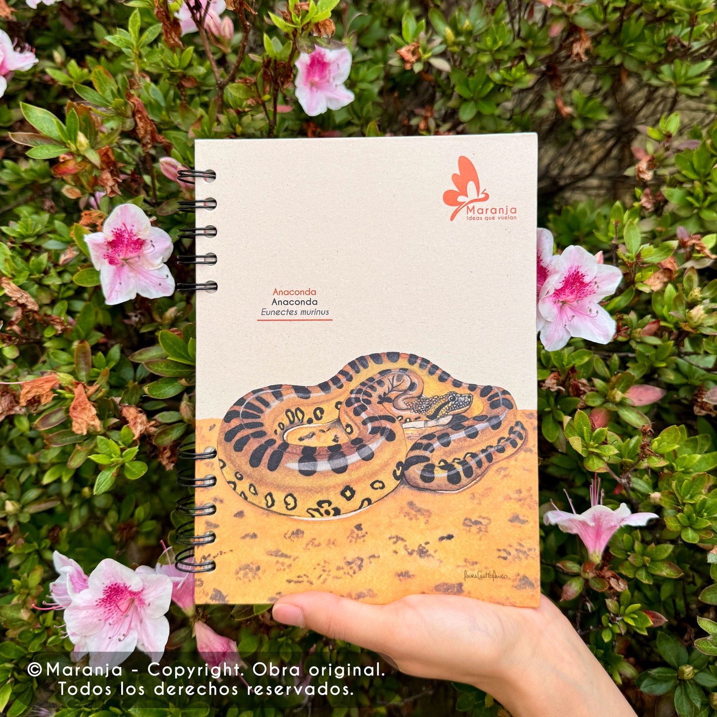 Cuaderno pequeño de Anaconda + Papel plantable