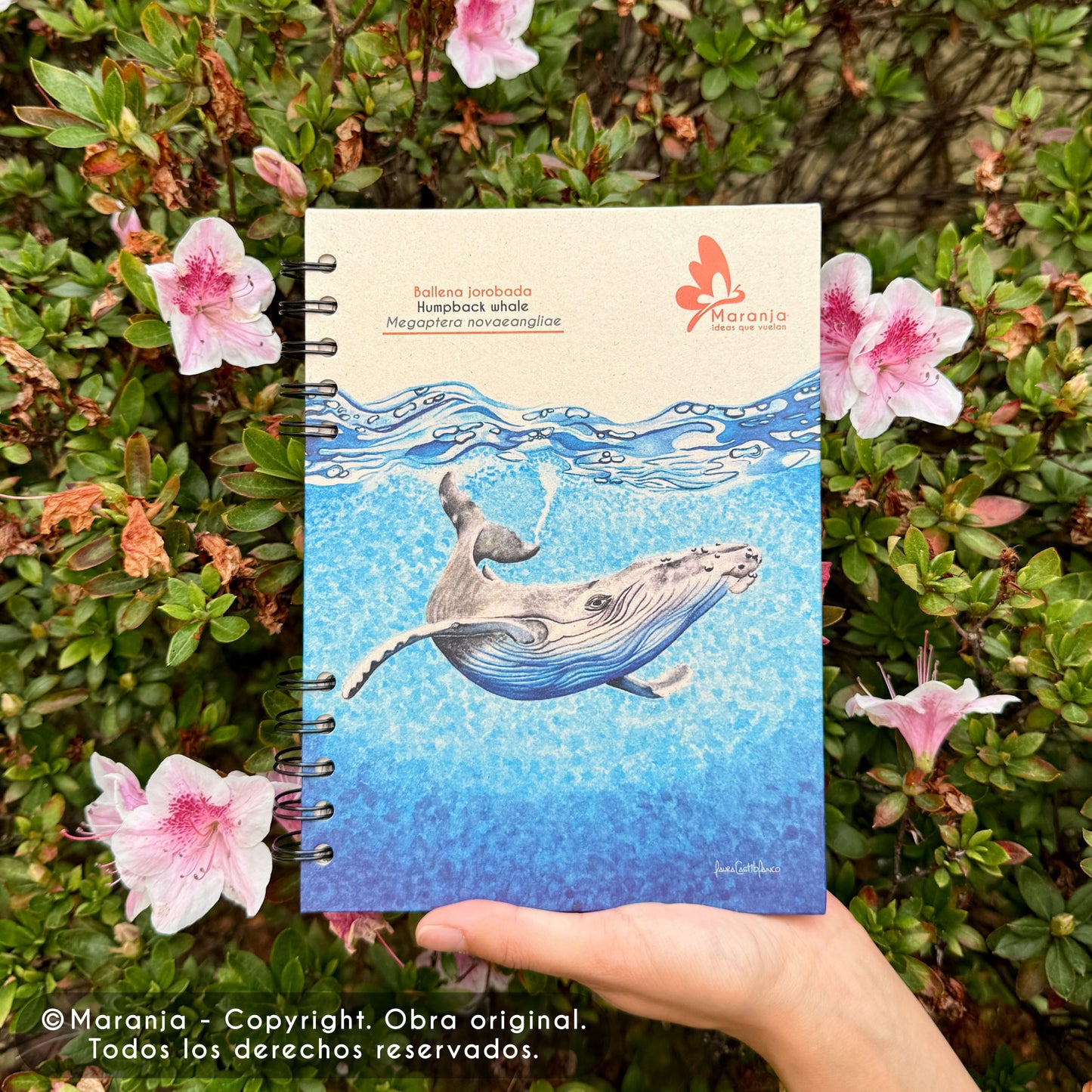 Cuaderno pequeño de Ballena + Papel plantable