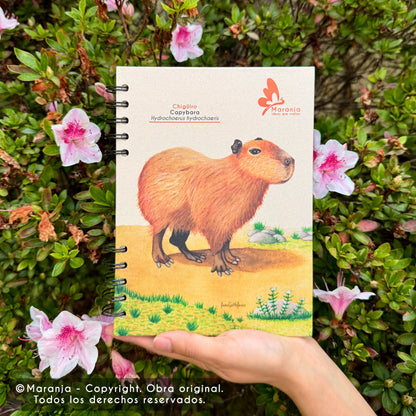 Cuaderno pequeño de Chigüiro / Capybara + Papel plantable