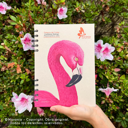 Cuaderno pequeño de Flamingo + Papel plantable