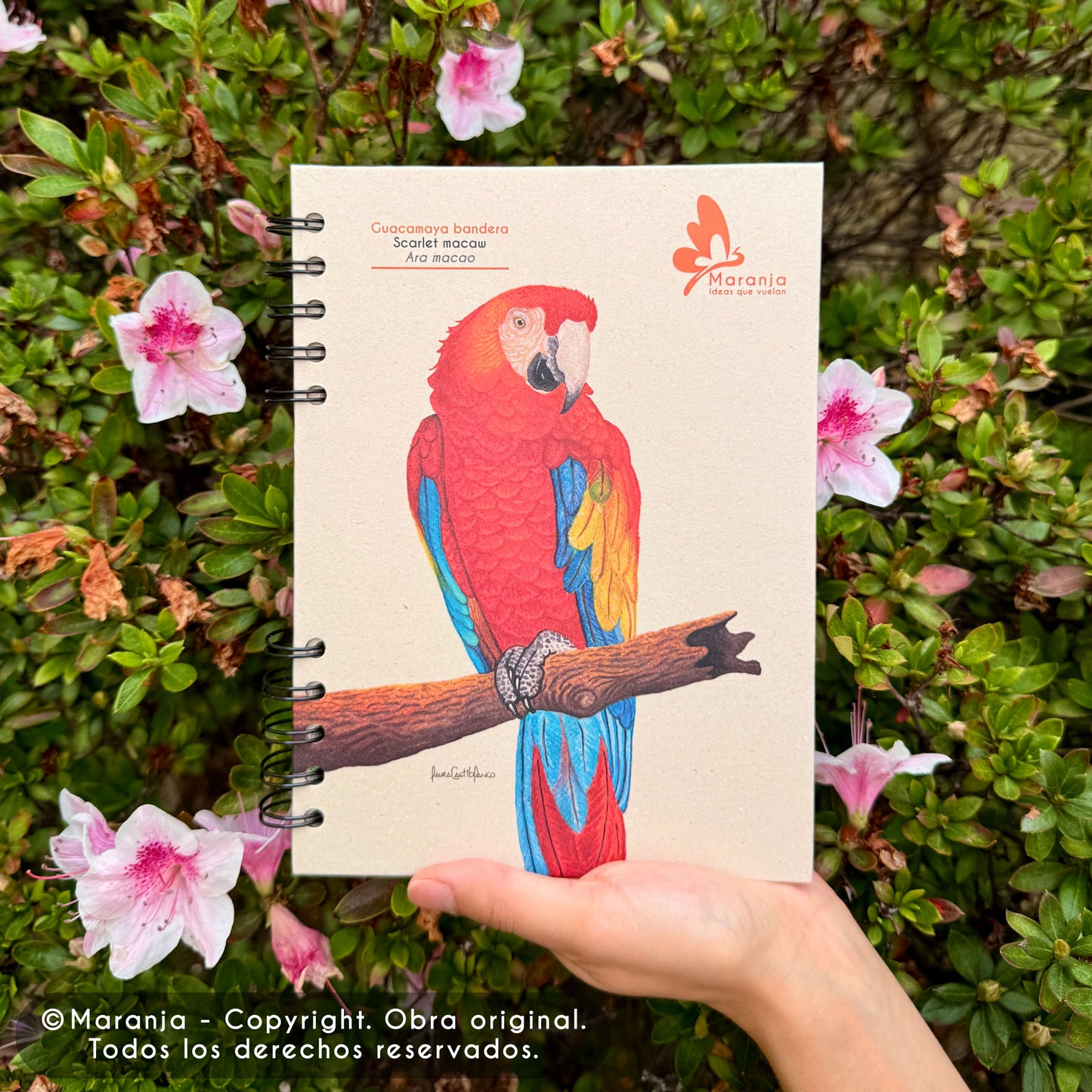 Cuaderno pequeño de Guacamaya + Papel plantable