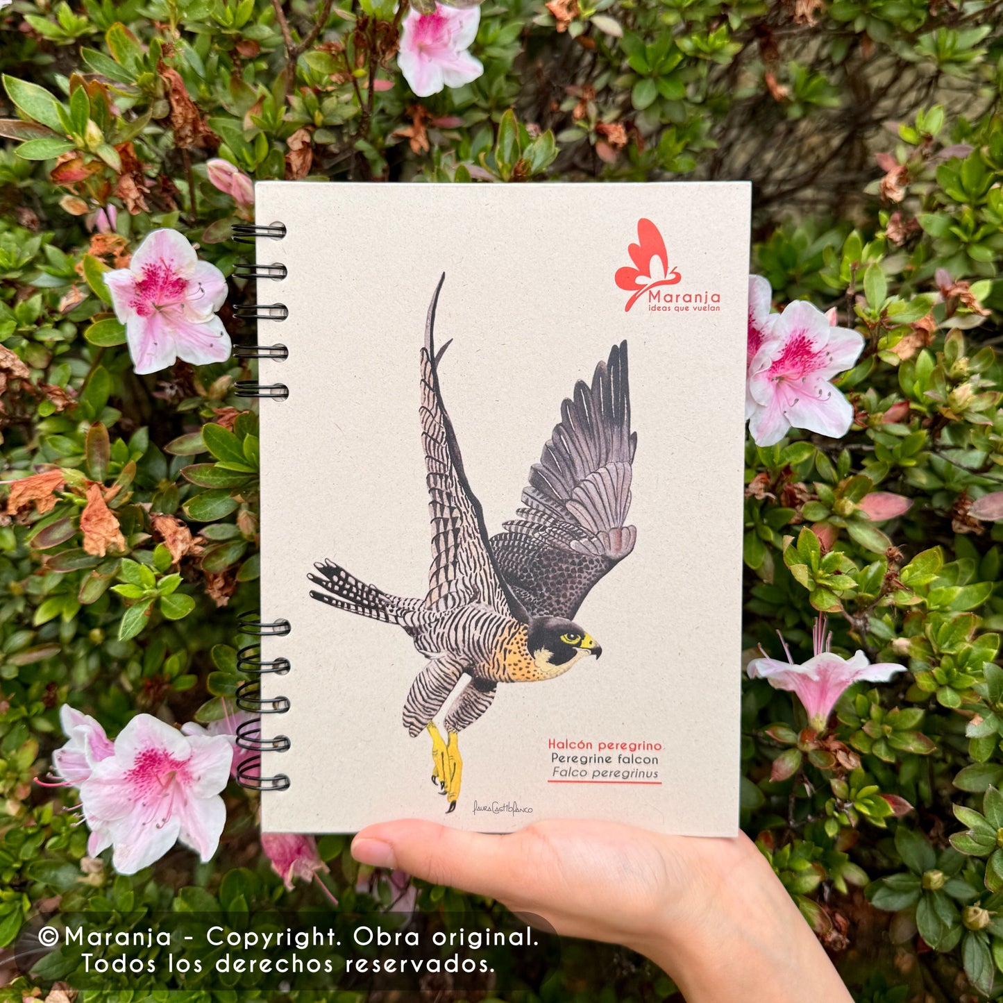 Cuaderno pequeño de Halcón peregrino + Papel plantable