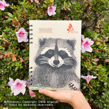 Cuaderno pequeño de Mapache + Papel plantable