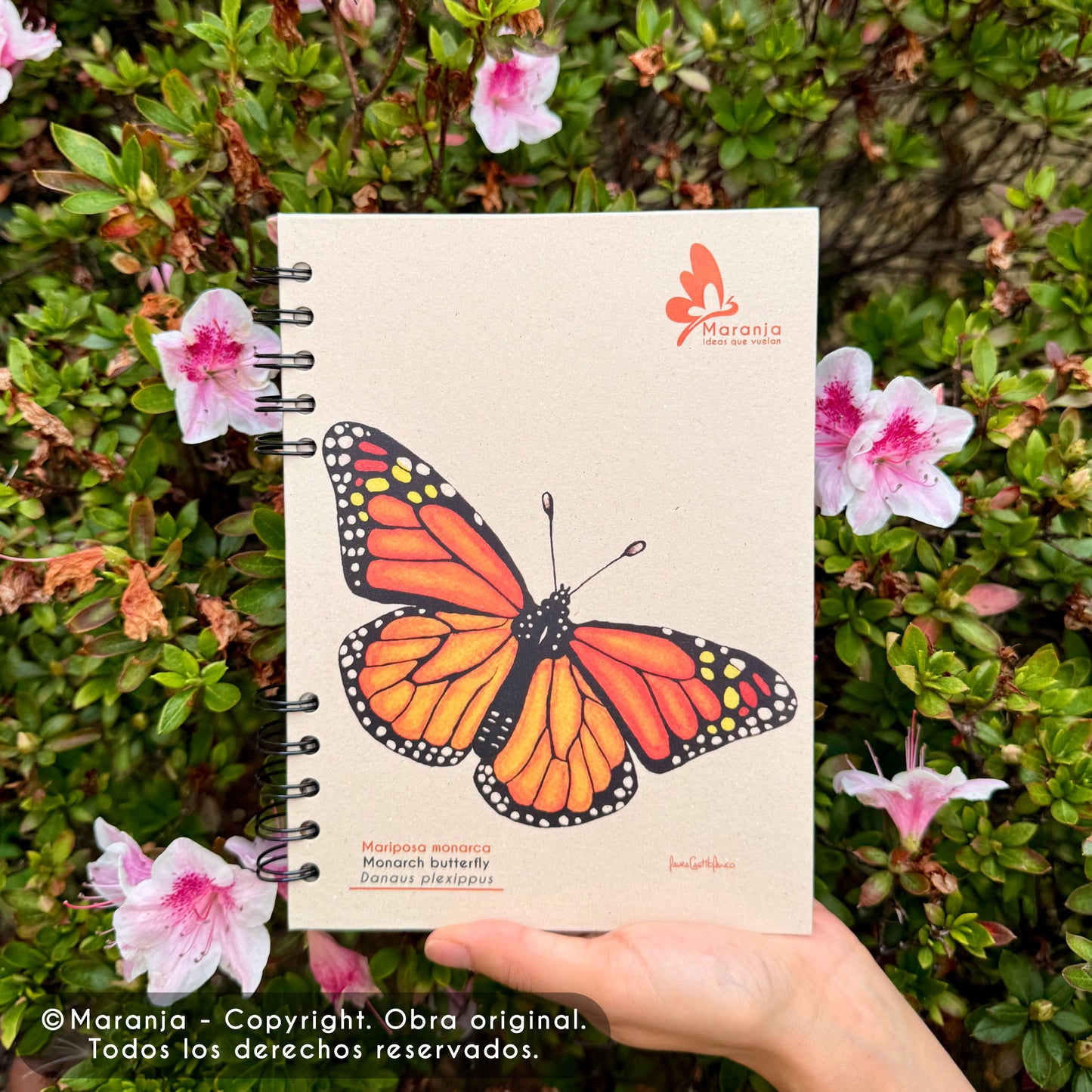 Cuaderno pequeño de Mariposa + Papel plantable