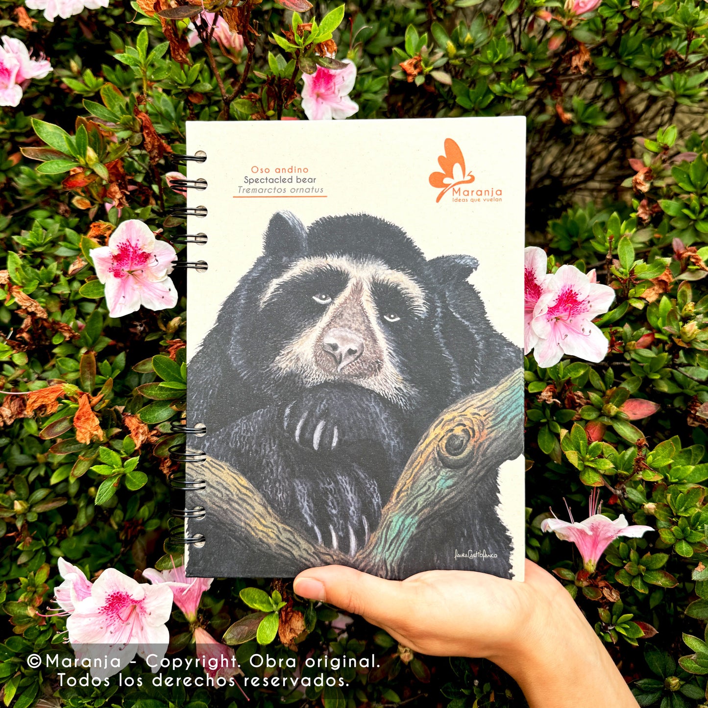 Cuaderno pequeño de Oso andino / Oso de Anteojos + Papel plantable