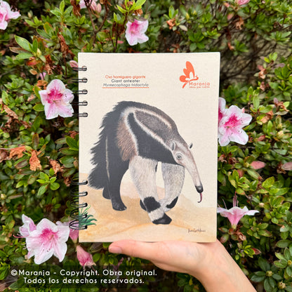 Cuaderno pequeño de Oso hormiguero + Papel plantable