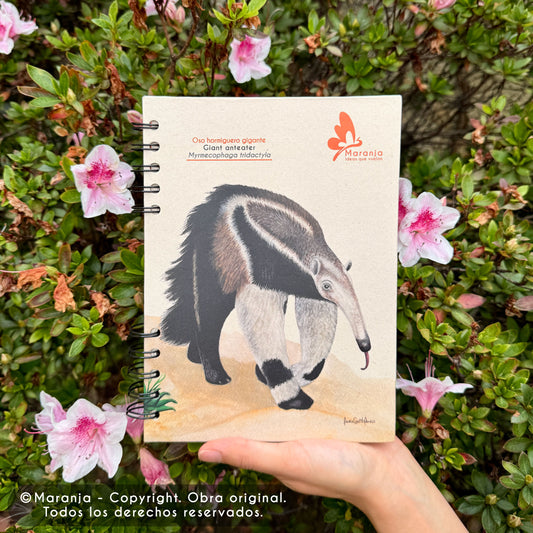 Cuaderno pequeño de Oso hormiguero + Papel plantable