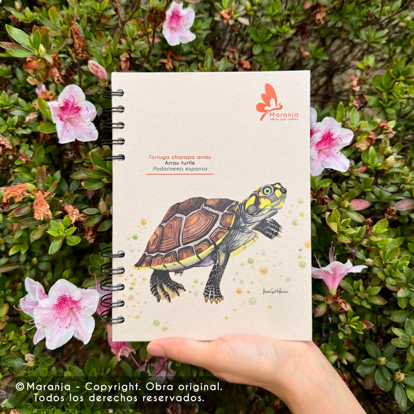 Cuaderno pequeño de Tortuga charapa + Papel plantable