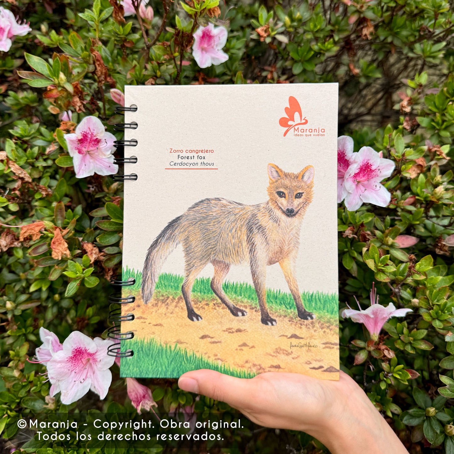 Cuaderno pequeño de Zorro + Papel plantable