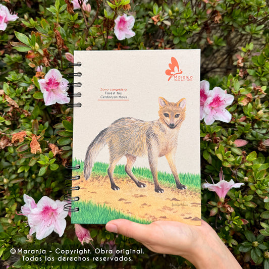 Cuaderno pequeño de Zorro + Papel plantable