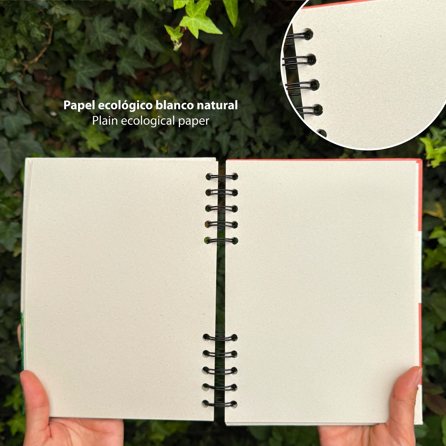 Cuaderno pequeño de Mapache + Papel plantable