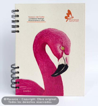 Agenda grande Flamingo + Papel plantable