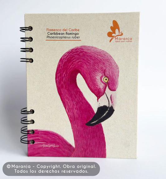 Agenda pequeña de Flamingo + Papel plantable