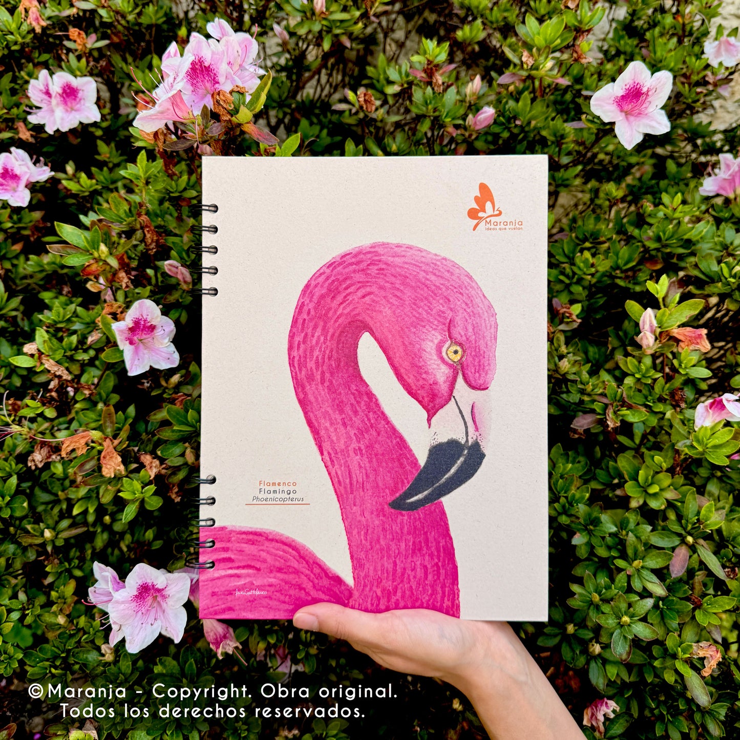 Cuaderno grande de Flamingo + Papel plantable