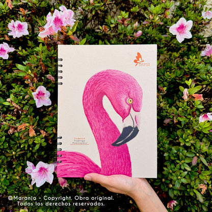 Cuaderno grande de Flamingo + Papel plantable