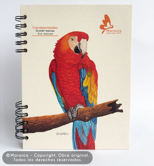 Agenda grande Guacamaya + Papel plantable