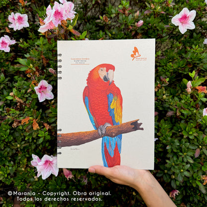 Cuaderno grande de Guacamaya + Papel plantable