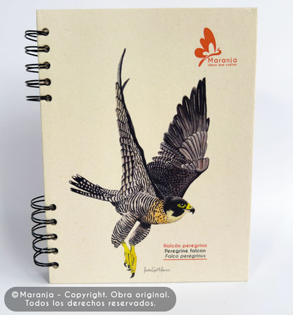 Agenda grande Halcón peregrino + Papel plantable
