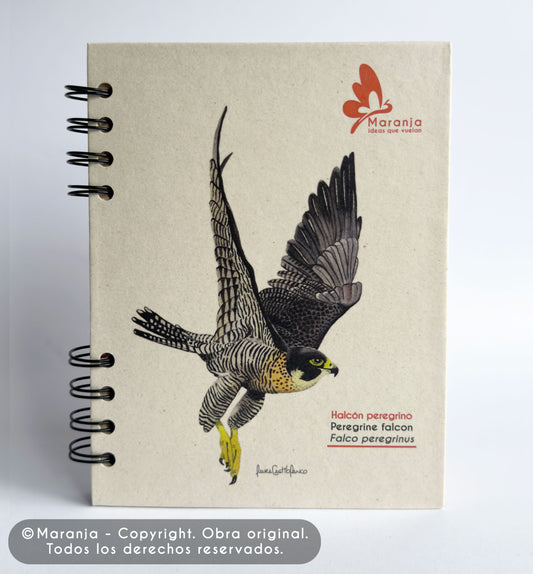 Agenda pequeña de Halcón peregrino + Papel plantable