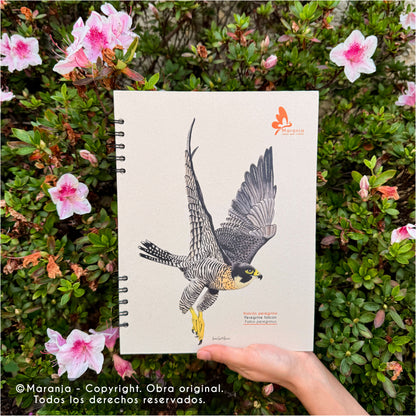 Cuaderno grande de Halcón peregrino + Papel plantable