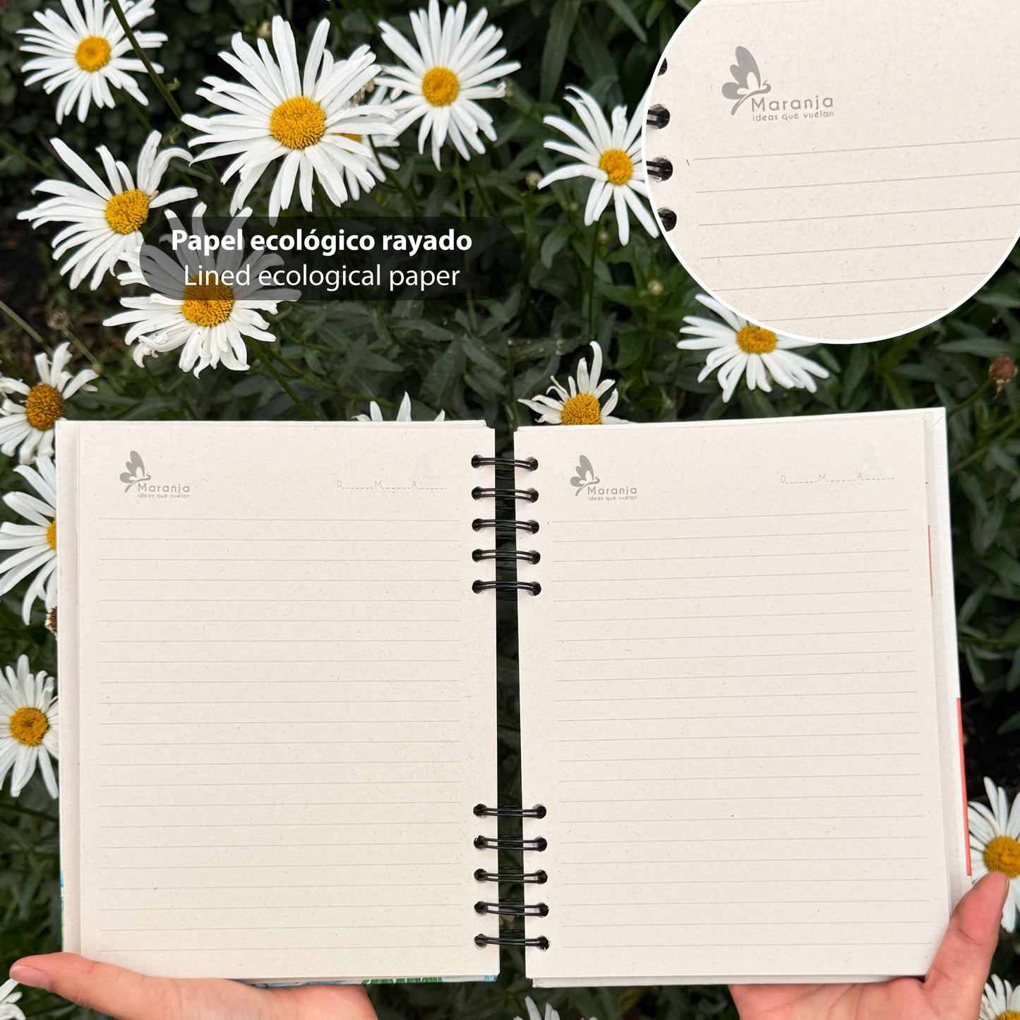 Agenda grande Mapache + Papel plantable
