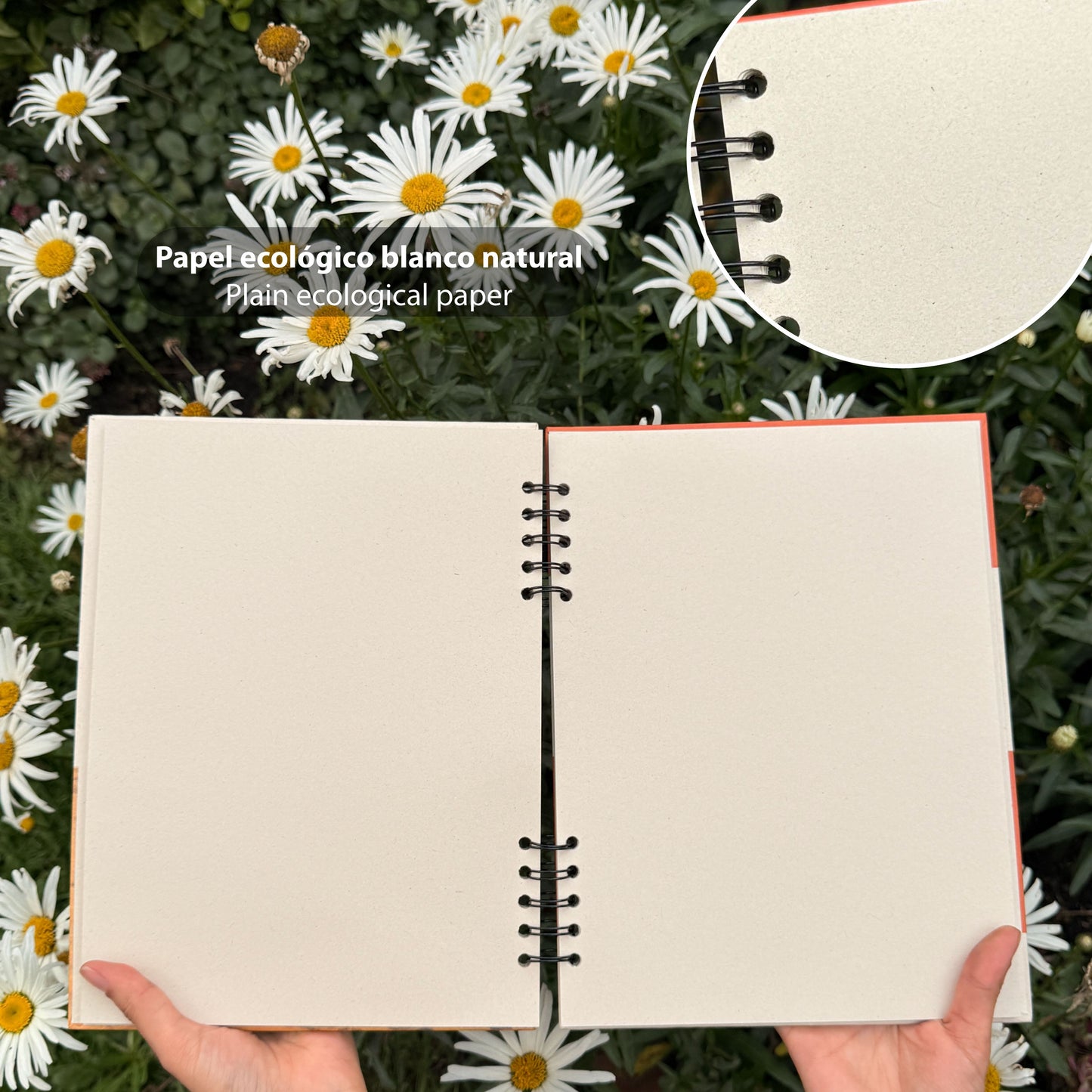 Cuaderno grande de Mapache + Papel plantable