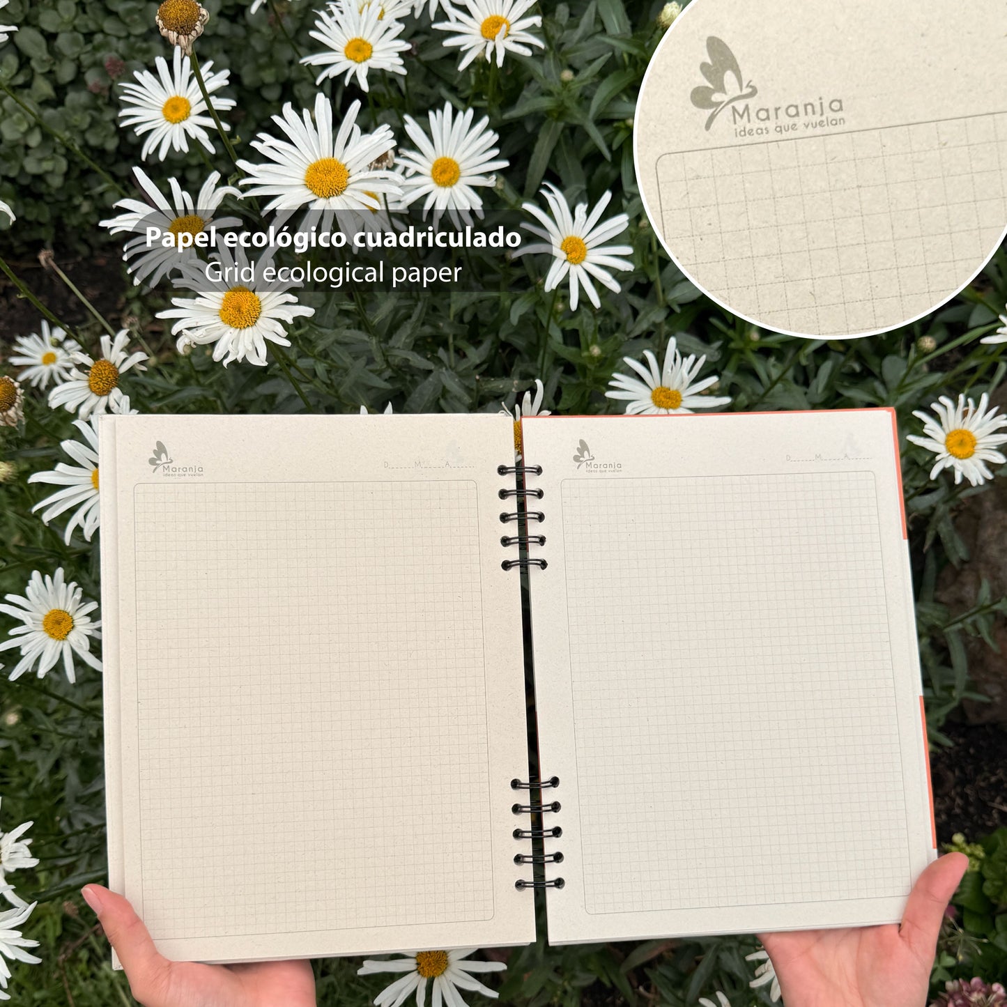 Cuaderno grande de Mapache + Papel plantable