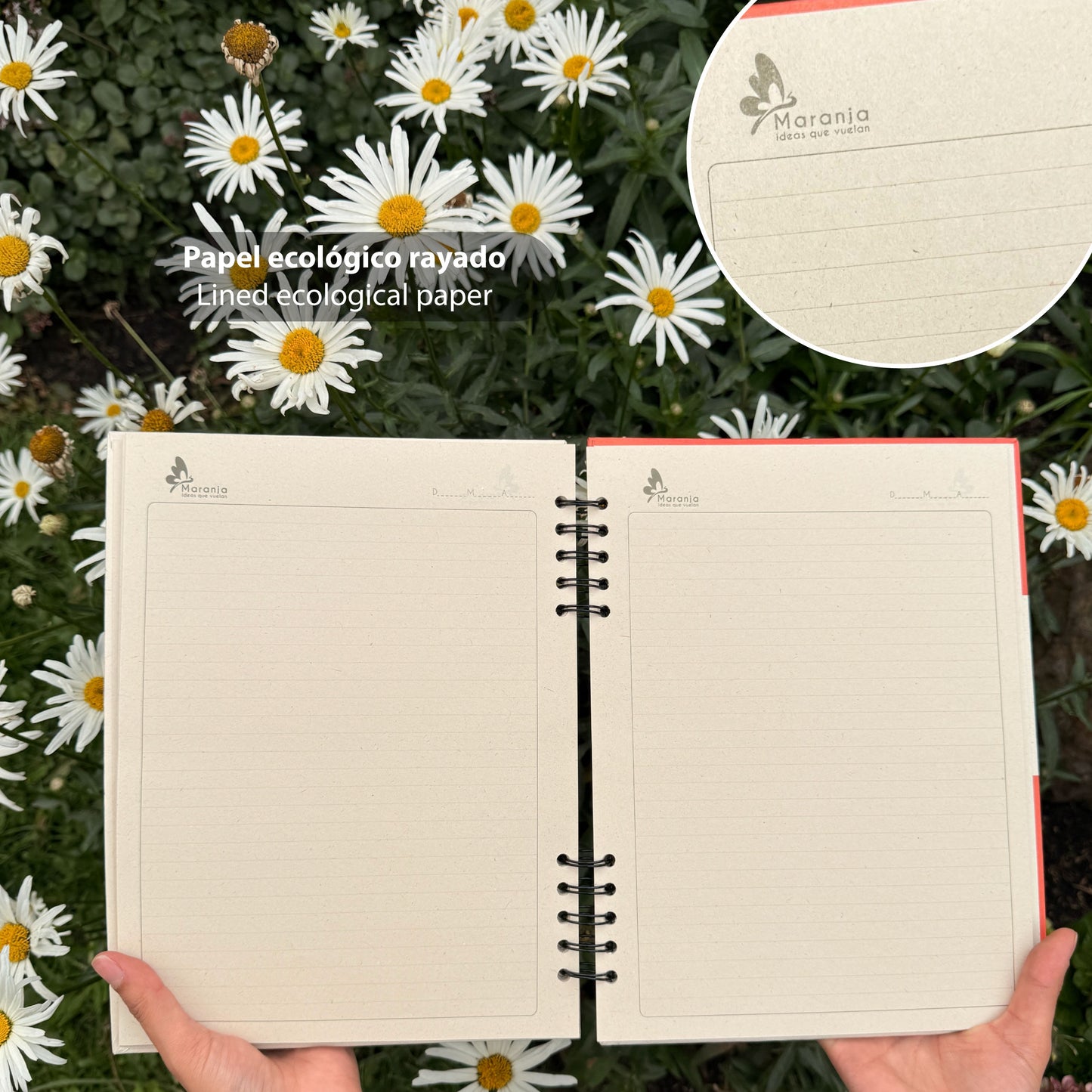 Cuaderno grande de Mapache + Papel plantable